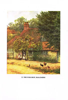 The Fish Shop Haslemere Print Vintage Old Picture Helen Allingham 1985 THEO#22 • $3.72