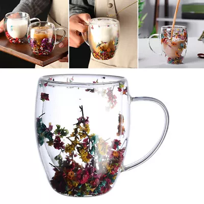 Glass Coffee Mugs Double Wall Dry Flower Water Tea Cups High Borosilicate Cup US • $12.34
