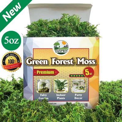 5oz Green Moss For Crafts Table Centerpieces Indoor Planters DIY Projects • $18.71