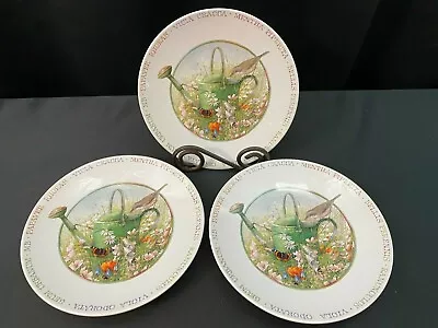 Marjolein Bastin  WILDFLOWER MEADOW  Watering Can ~ Set Of 3 ~ Salad Plates ~ 8  • $23.99