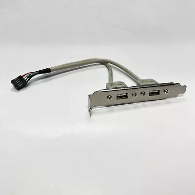 2 Port USB Port Bracket 10pin Motherboard Cable • $8.99