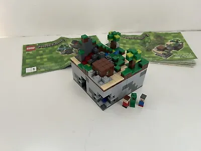 LEGO Ideas Minecraft 21102 100% Complete With Instructions • $29.99
