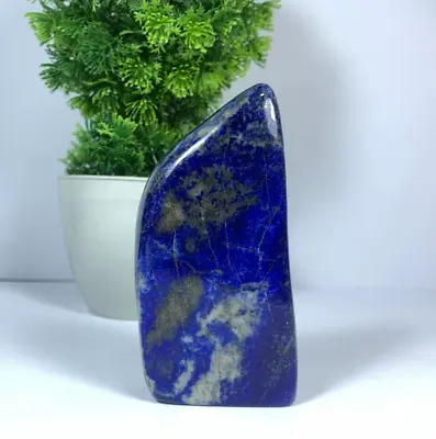 280Gram Lapis Lazuli Freeform Rough Polished Tumbled AAA+ Grade From Afghanistan • $39.99