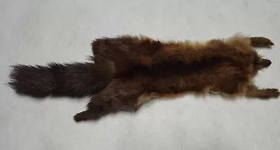 Pine Marten Sable Fur Hide NY 282 Genuine Tanned 20  Vintage • $50