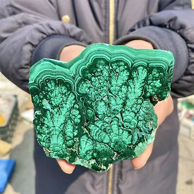 396G Natural Malachite Slices Quartz Crystal Mineral Specimens Reiki Healing • $0.99