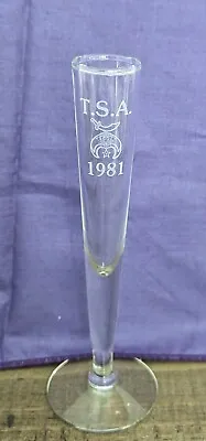 Glass Engraved W/Masonic Shriners T.S.A. 1981  Tall Fluted Shot Glass Ceremonial • $8