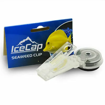 Magnetic Seaweed Clip - IceCap • $13.99