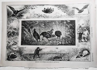 The Quail And Its Enemies By Gaston Fay - Harper's Weekly 1880 Original Print • $22.40