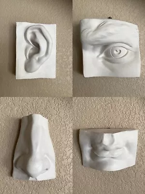 Michelangelo's David Face Classic Art Wall Sculpture Eye Nose Ear And Mouth • $495