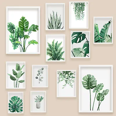 Botanical Green Wall Art Prints Plant Leaf Print Poster Pictures Home A3 A4 • £3.99