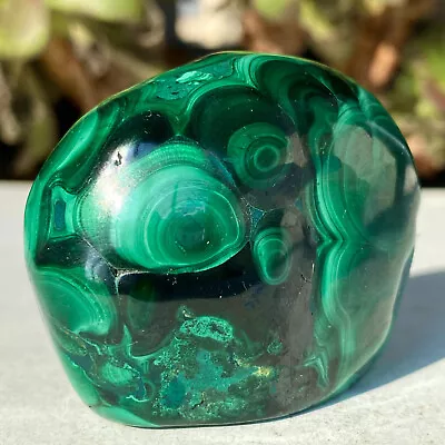 194G Natural Gemstone Malachite Quartz Crystal Skull Carved Healing Reiki Stone • $0.99