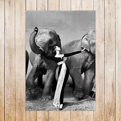 Print Of Richard Avedon Artwork - Dovima With Elephants Print • $23.33