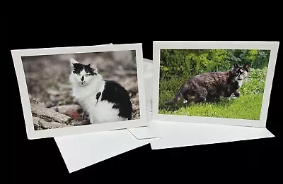 CAT BLANK Note Cards With Envelopes 2 DESIGNS EACH • $9.99