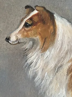 George Earl Original Oil Painting Of A Collie ~ Dogs • $6500