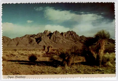 $5 • Buy Postcard Organ Mountains Las Cruces New Mexico USA North America Unposted