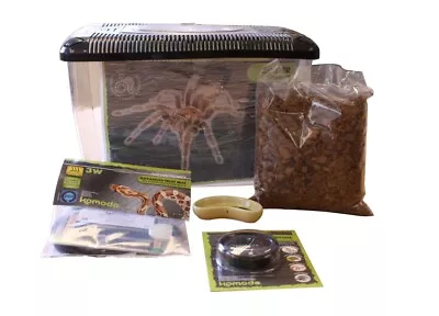 £52.99 • Buy Komodo Complete Tarantula Spider Keeping Kit Vivarium Kit 39 X 25 X 24 Cms 