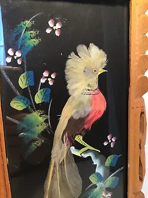 Vintage Mexican Feathercraft Hand Painted Bird Art Wall Hanging Carved Frame • $25