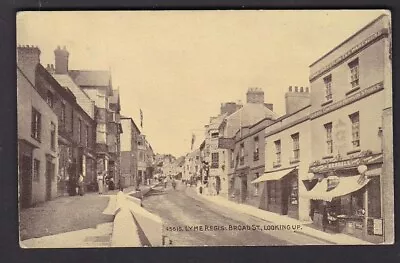 Dorset LYME REGIS Broad St Kendal Premises Pre1919 PPC • £9