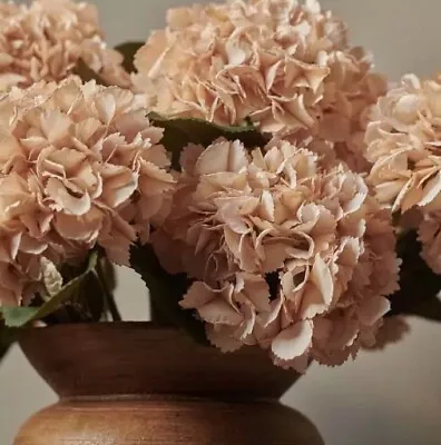 Abigail Ahern Hydrangea Vanilla Faux Stem • £26