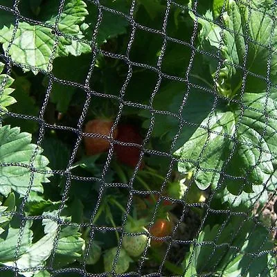 £4.99 • Buy Anti Bird Netting For Crops, Protection Plants Ponds Fruit 2m Wide Per Metre