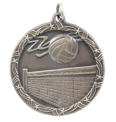 Volleyball Medal School Team Sport Award Trophy W/ FREE Lanyard FREE SHIP M149 • $0.99