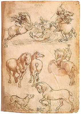 Leonardo Da Vinci - Horse Drawings (1480) Sketches Poster Painting Art Print • £6.95