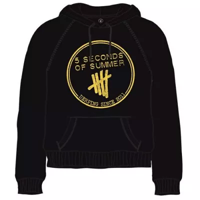 5 Seconds Of Summer Unisex Pullover Hoodie: Derping Stamp • $62.95