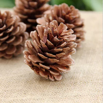 12/24/48/96/192pcs Christmas Pine Cones XMAS Tree Hanging Ornament Decorations • $9.86