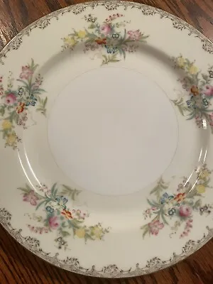 Meito Burbank Hand Painted Dinner Plate Japan Diameter 9 7/8 Inches • $12.90
