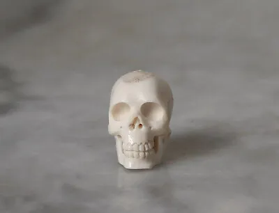 £28.57 • Buy  Netsuke-like Bone Skull Miniature From Bali