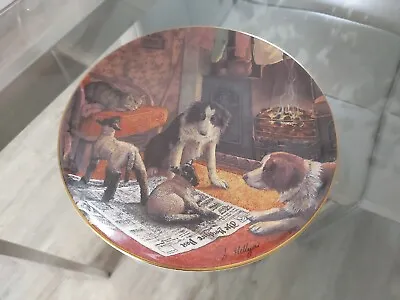£12.99 • Buy James Herriot Border Fine Arts Plate 1993 VGC   In From The Cold   8.5 Inch