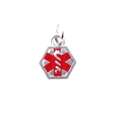 Doc Tock CHARM Stainless Steel W Red Medical Alert Symbol • $2.99