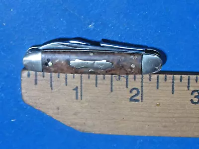 Vtg 1940's  Scout/camper Celluloid Mini Pocket Knife USA • $14.99
