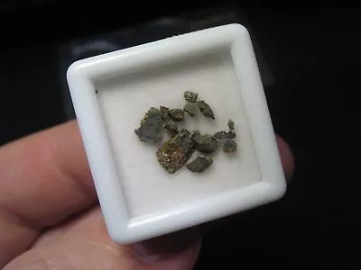 Martian Meteorite NWA 13369 - Poikilitic Shergottite (Peridotitic) • $0.01