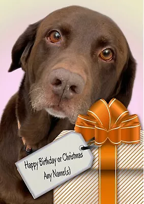 Personalised Chocolate Labrador Christmas Or Birthday Card + Illustrated Insert  • £3.99