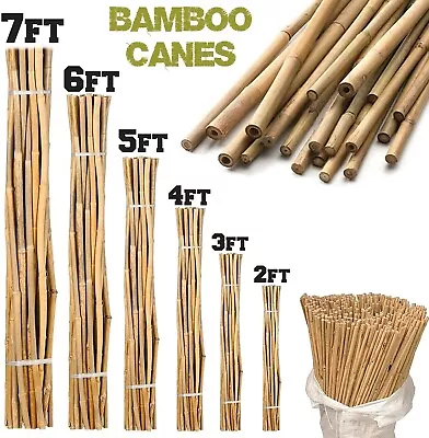 Bamboo Heavy Duty Garden Canes Thick Quality Plant Flower Support Cane Stake • £10.99