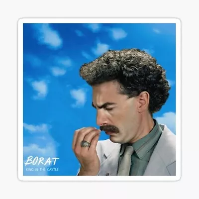 BORAT ALBUM COVER Sticker / Decal - Movie Tv Show Funny Car Laptop • $5.50