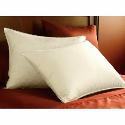 Pacific Coast Double Down Surround Pillow Set (2 Standard Pillows) • $127.97