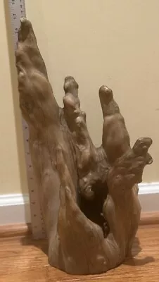 Mid Century Cypress Knee Tree Roots Wood Sculpture Large 17” • $39