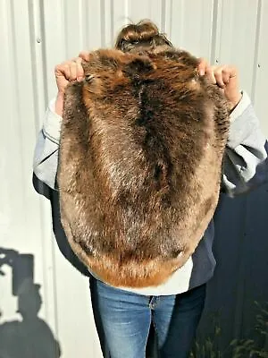 1 - Tanned Beaver Pelt Premium Grade Prime Beapremo  • $54.95