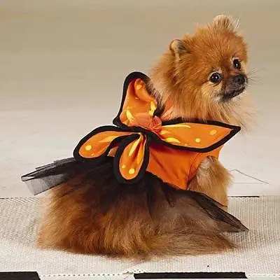 NWT Martha Stewart Pets Monarch Butterfly Costume Dog XS Extra Small Halloween • $12.99