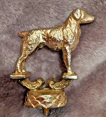 Vintage Irish Setter Or Pointer Hunting Dog Gold Tone Trophy Top • $21.99