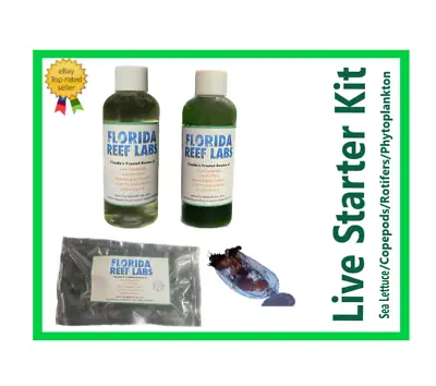 LIVE Starter Kit Sea Lettuce/copepods/rotifers/phytoplankton Florida Reef Labs™ • $64.99