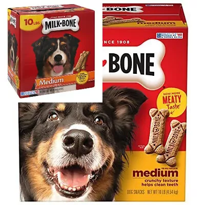 Milk-Bone Original Dog Treats Biscuits For Medium 10 Pound (Pack Of 1) Brown  • $35.55