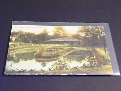 Lagoon Idora Park Youngstown Ohio Postcard • $4.50