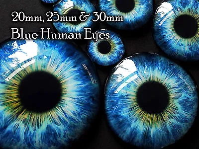£4.50 • Buy Taxidermy Glass Dragon, Doll, Teddy Eyes, Blue 20mm, 25mm, 30mm