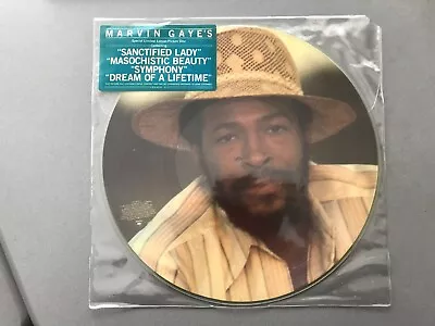 Marvin Gaye  Sanctified Lady   Rare  12   1985 Picture Disc .....near Mint • $13.04