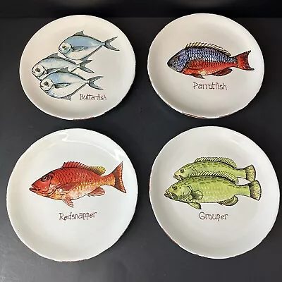 Mud Pie 8  Fish Plates Set Of 4 Butterfish RedSnapper ParrotFish & Grouper!! • $62.95