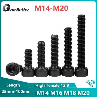 £2.46 • Buy M14 M16 M18 M20 Socket Cap Head Bolt Hex Allen Key Screws Fine Thread Black 12.9