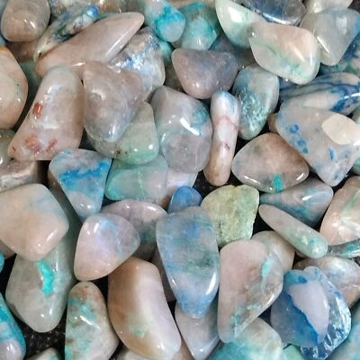 £3.99 • Buy Wholesale 5 - 100 X Chrysocolla Tumble Stone Quartz Crystal 10-20mm Mineral